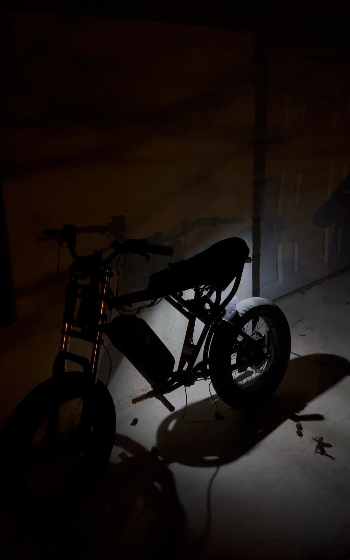 Ridstar v1 rocklight