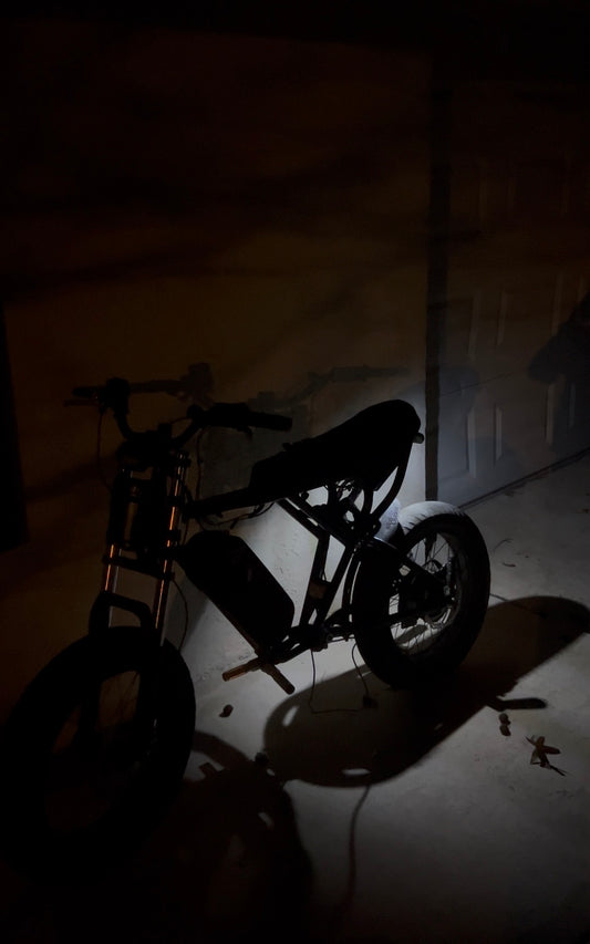 Ridstar v1 rocklight