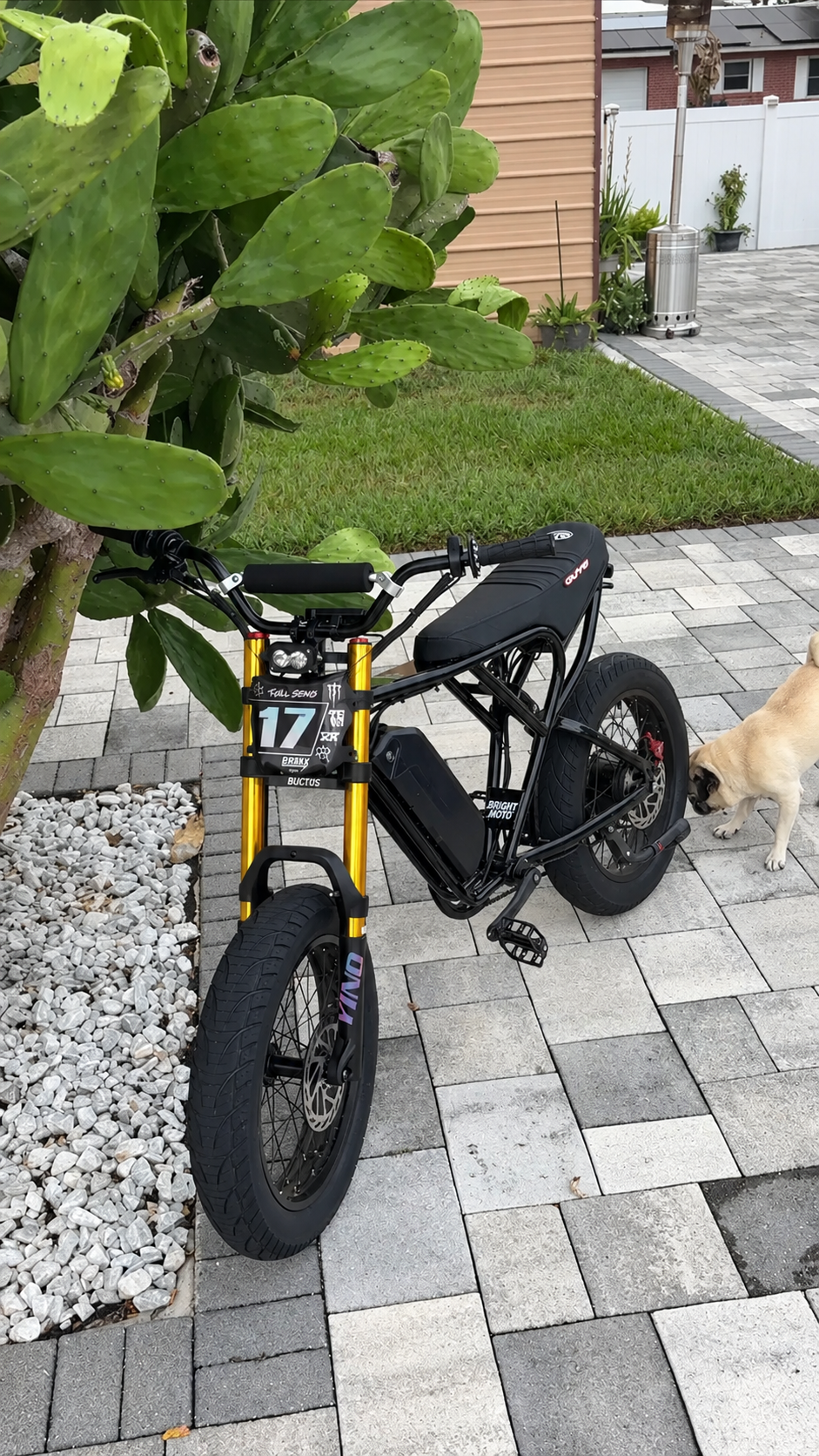 Upgraded E-bike air forks