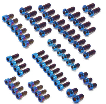 titanium bolt kit for 79 bike